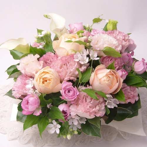Soft Pink Bloom Delight