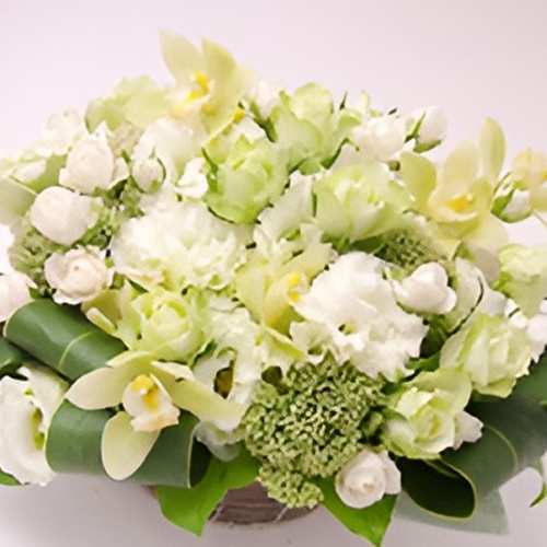 White Glow Romance
