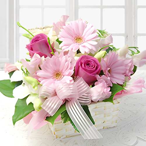 Pink Petal Embrace