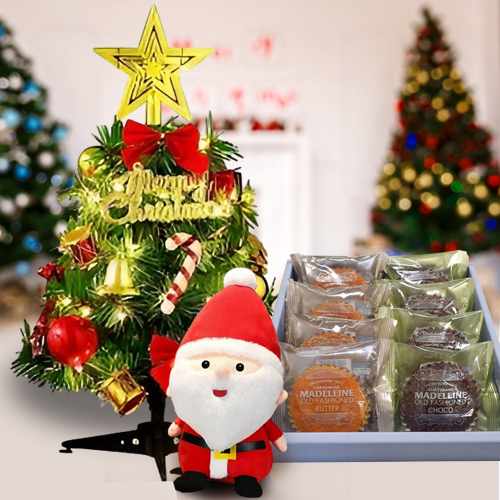 Cute Christmas Surprise