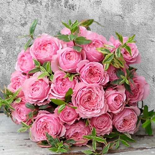Charming Classic Rose Display