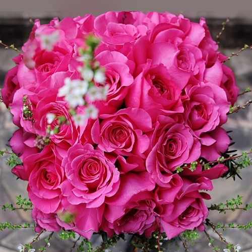 Forever Love Rose Arrangement