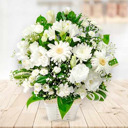 White Flowers Of Remembrance