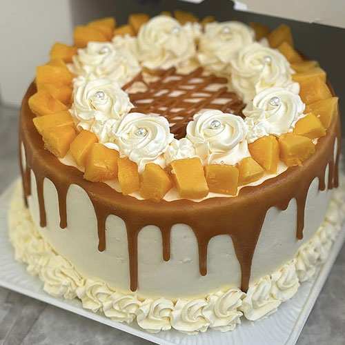 Mango Cheese Cake