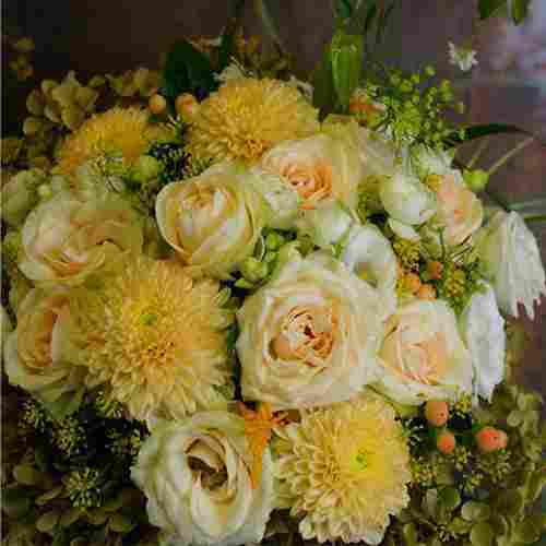 Soft Yellow