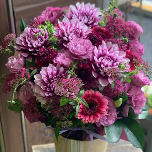 Beauti Charm