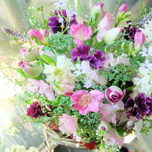 Tender Tribute