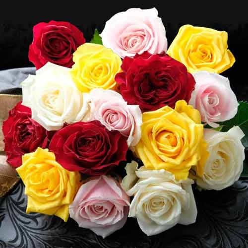 15 Multi Color Rose Bouquet