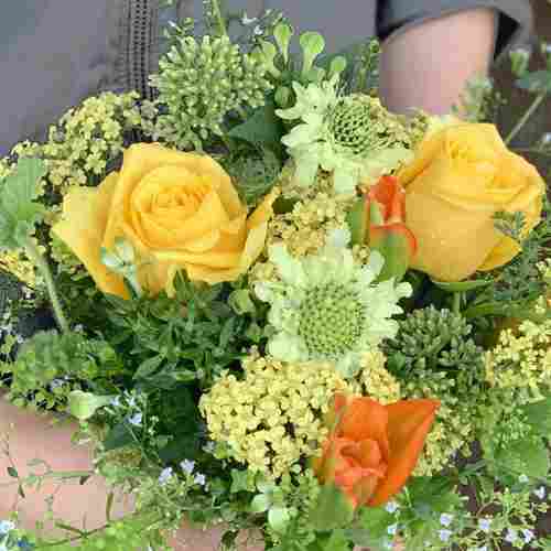 Growers Choice Presentation