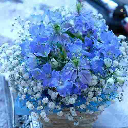 Blue And White Floral Arrangements